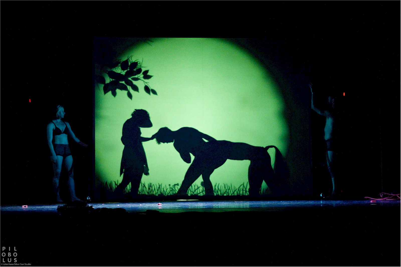 Shadowland